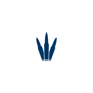 5d2994645d6e20b2's emblem
