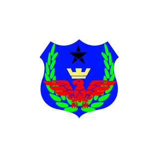 NoobEverSP's emblem