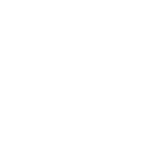 Paesano0o's emblem