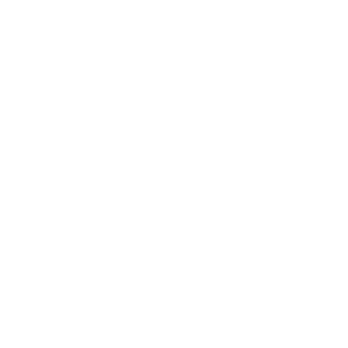 __Fireterrorr's emblem