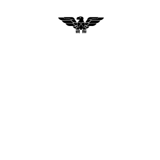 SKULSHADY's emblem
