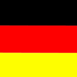 Riot Squad Germany's emblem