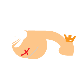 TR31Z's emblem