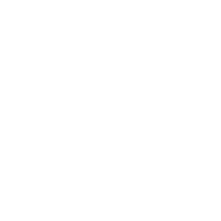 FdX99's emblem