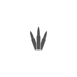 159mj's emblem