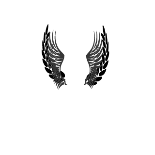 DrYZz_FR's emblem