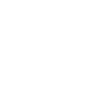 Raizox21's emblem