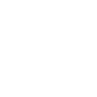 Lutador_Brasil's emblem