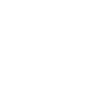 1Taichung's emblem