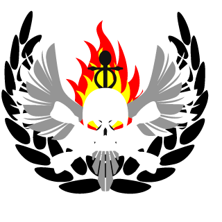 0Aeonic0's emblem