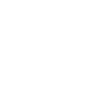 Brazaa86's emblem