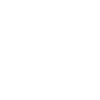 I_I_l_l_I_ln's emblem