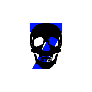 BH4KILLER7's emblem