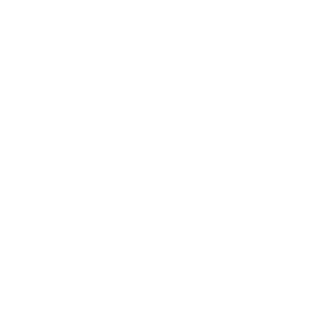 Showme2848's emblem