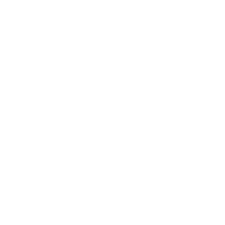 Flokisms's emblem