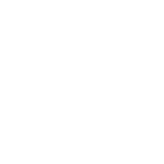 anvay13's emblem