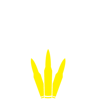 TanksRFun456's emblem