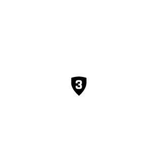 Swarls999's emblem