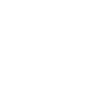 YaBoiMacaco's emblem