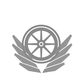 Selivanov100's emblem