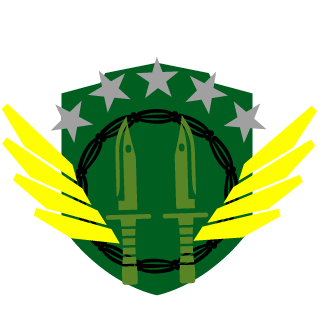 SkateVillain's emblem