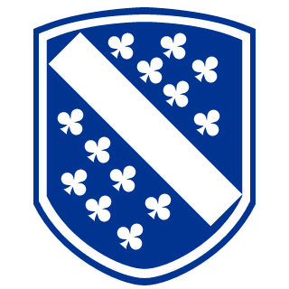 M4tR0n1c's emblem