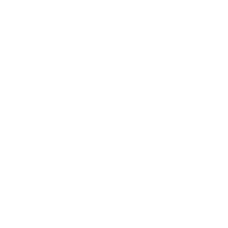 aaa34Rus's emblem