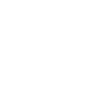 70AVA's emblem