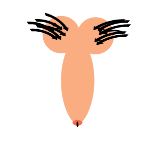 snowpea67's emblem