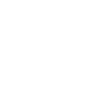kingsjinu's emblem
