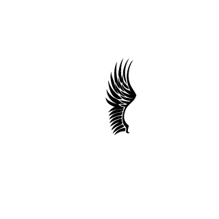 989300777's emblem