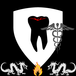 SA Soviet Dragons's emblem