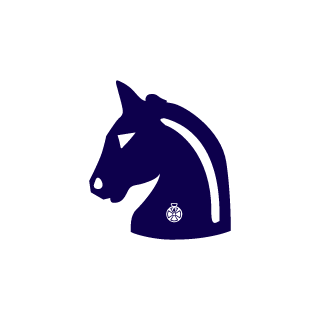 P1nkNy4Ny4Punch's emblem