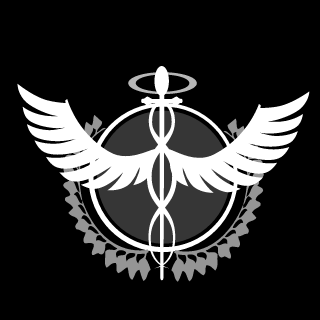 Raise_BerTex's emblem