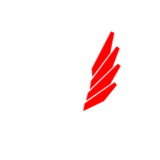 Polish Power's emblem