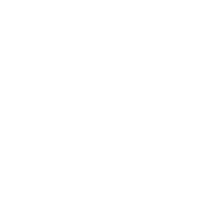 fabinsqint's emblem