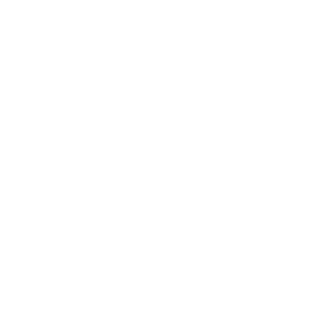 Coniks_nWnL's emblem