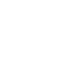 NuggetXDCZ's emblem