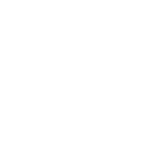lordzelmer's emblem