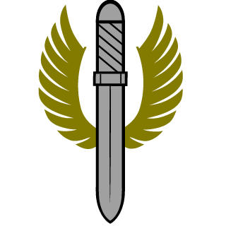 DeviLFriction's emblem