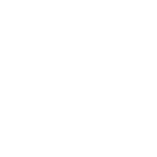 Skyfox_85's emblem