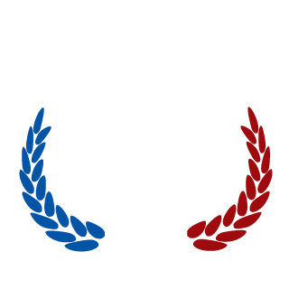 Logiiiizzz's emblem