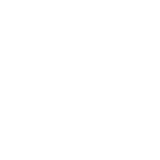 GeTiSaKiNG's emblem