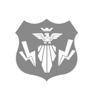 minihifi's emblem
