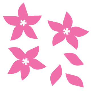 Solta_abC's emblem