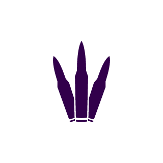 Daren9091's emblem