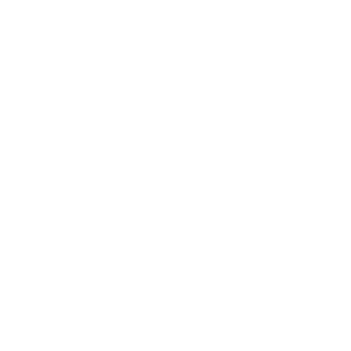 VrIcRs's emblem