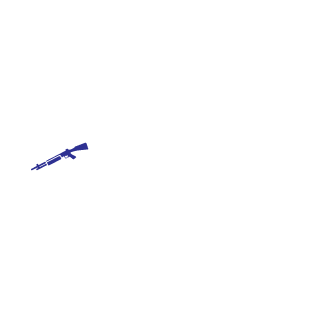 BigSlothgoBrr's emblem