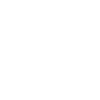 0x64706e's emblem