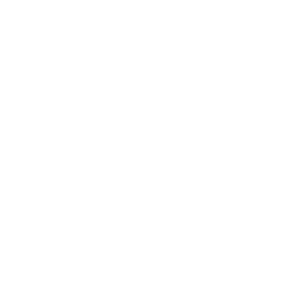 aZinizter's emblem